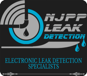 NJPP Leak Detection - how to play marco polo in the pool