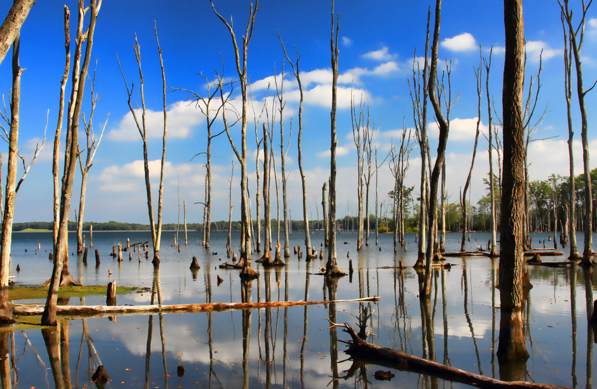 Local landmark near residential pools in Howell Township New Jersey